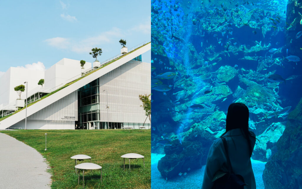 台北からわずか19分！桃園高鉄駅周辺の注目スポットへ。水族館・美術館を巡る上質おでかけプラン