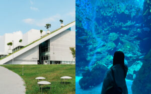 台北からわずか19分！桃園高鉄駅周辺の注目スポットへ。水族館・美術館を巡る上質おでかけプラン
